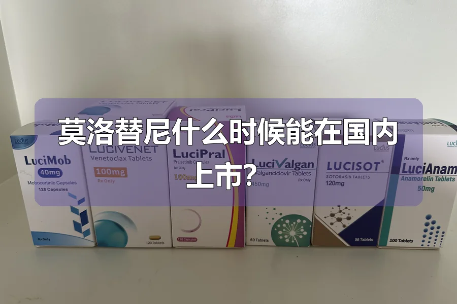 莫洛替尼什么时候能在国内上市?