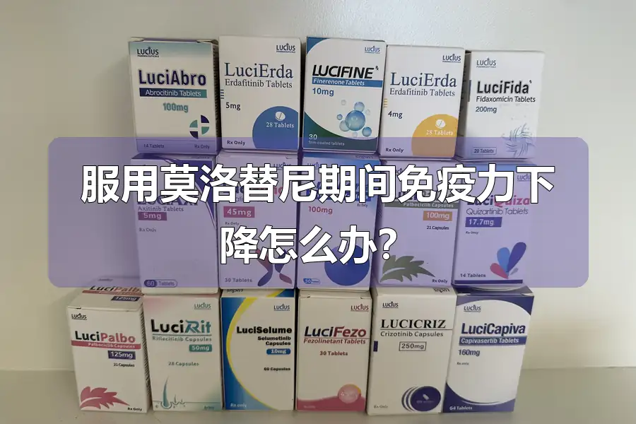 服用莫洛替尼期间免疫力下降怎么办?